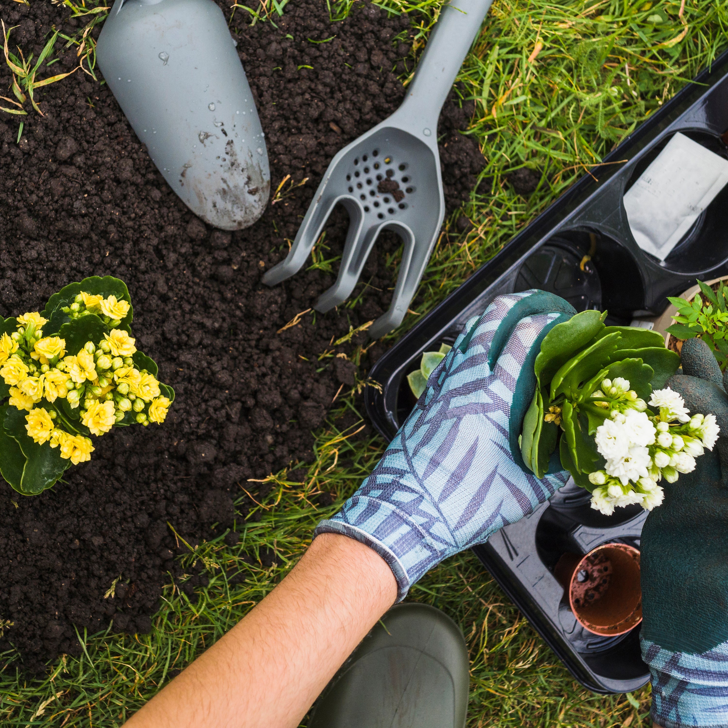 Soil & Plant Maintenance