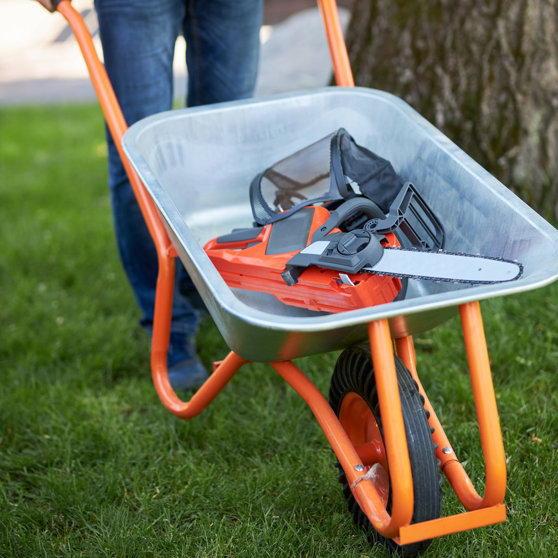 Pruning & Maintenance Tools