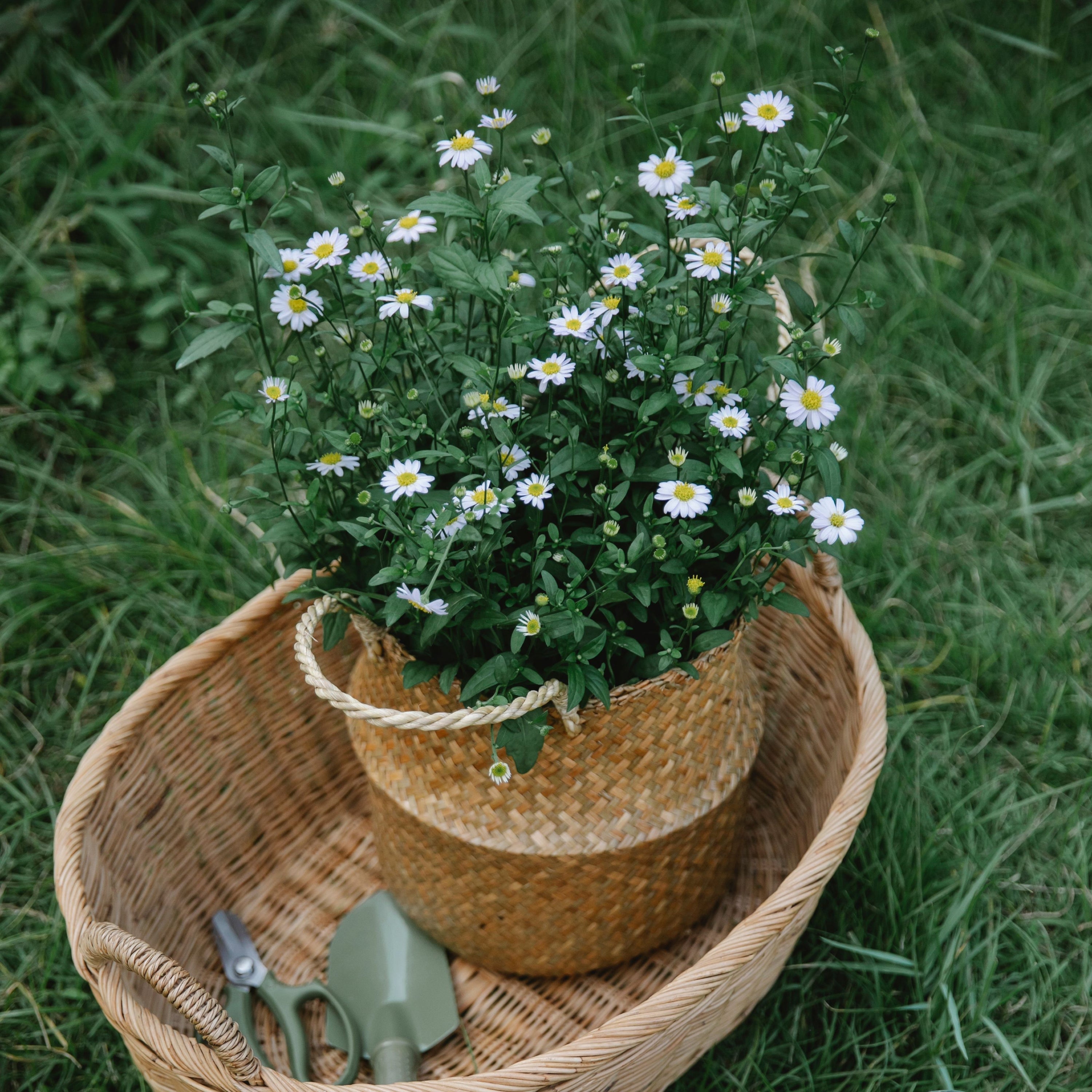 Other Garden Accessories