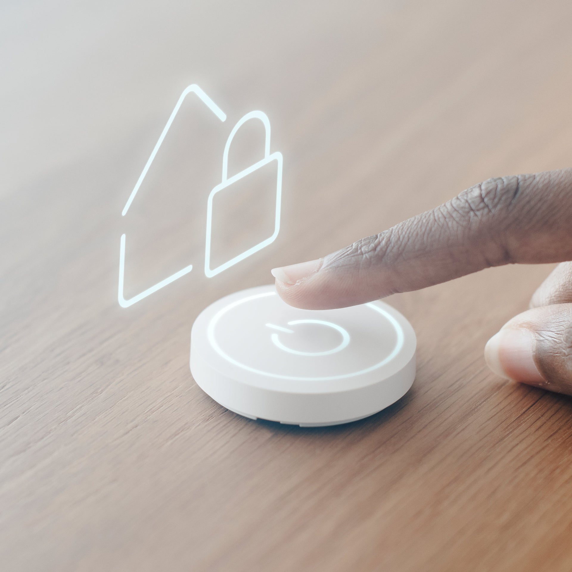 Home Security & Access