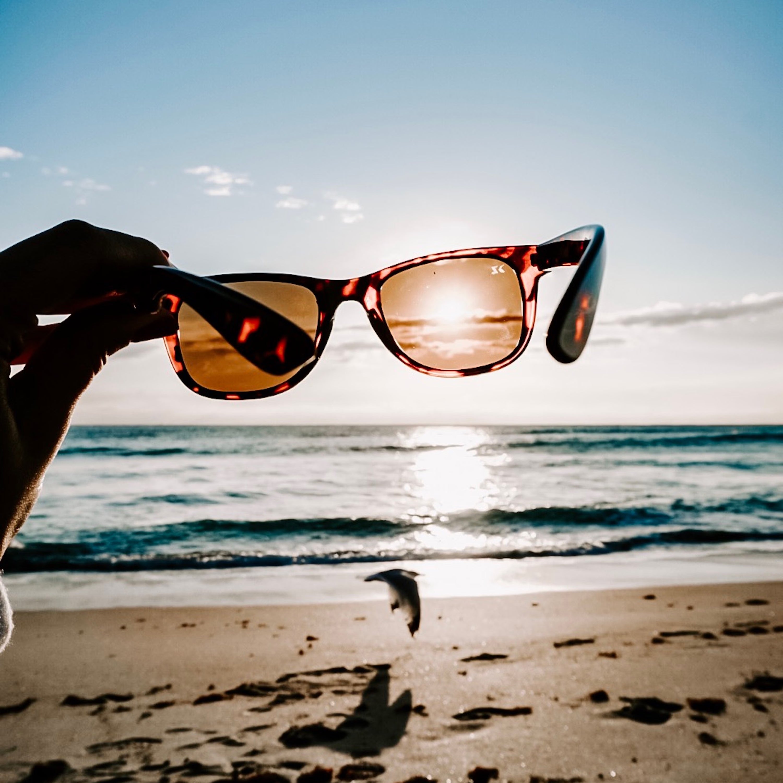 Beach Accessories