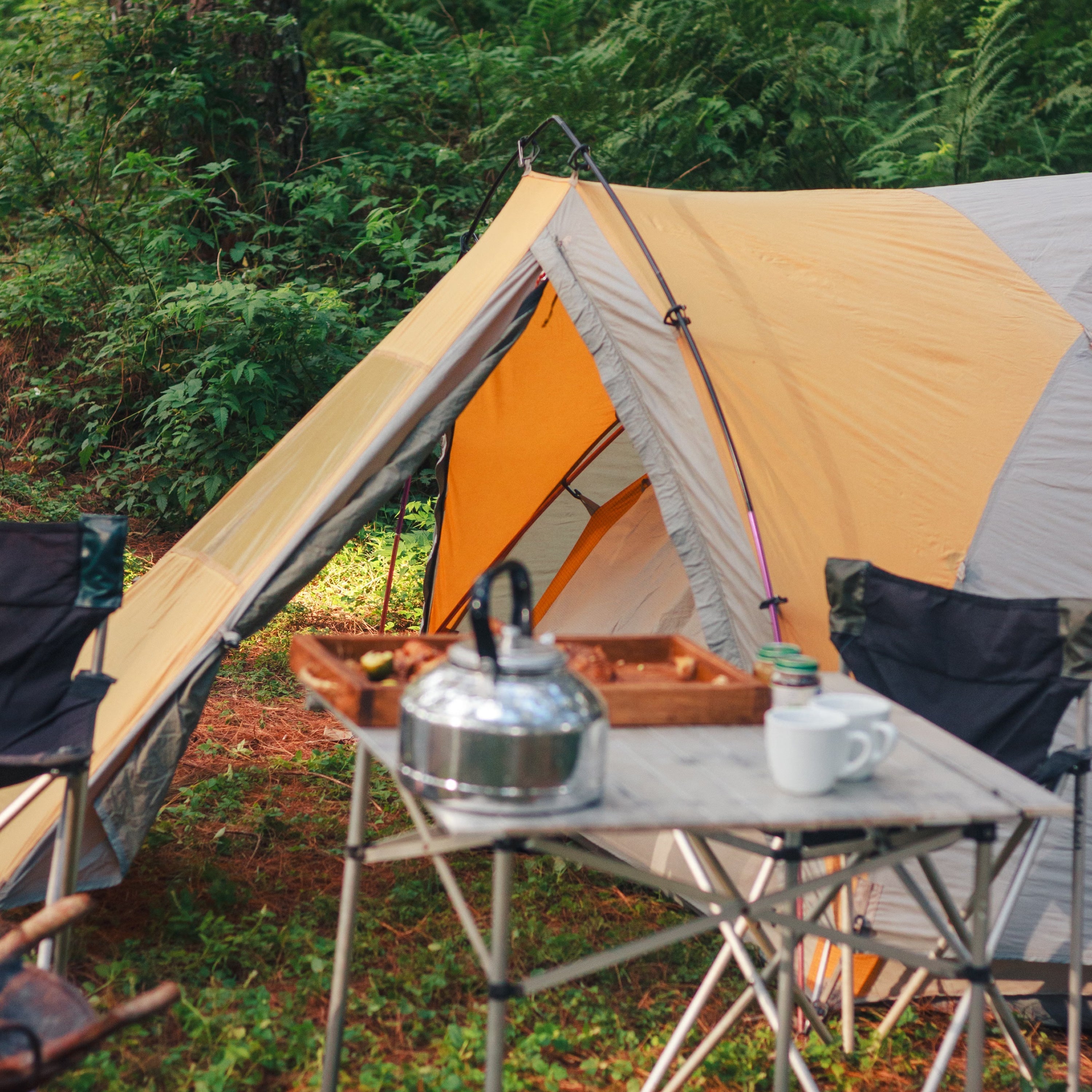 Camping & Hiking