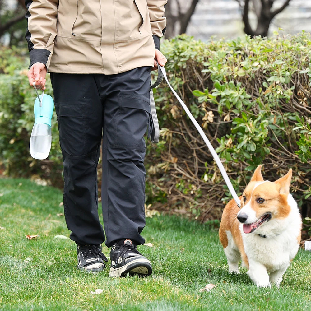 FopetCare v1
