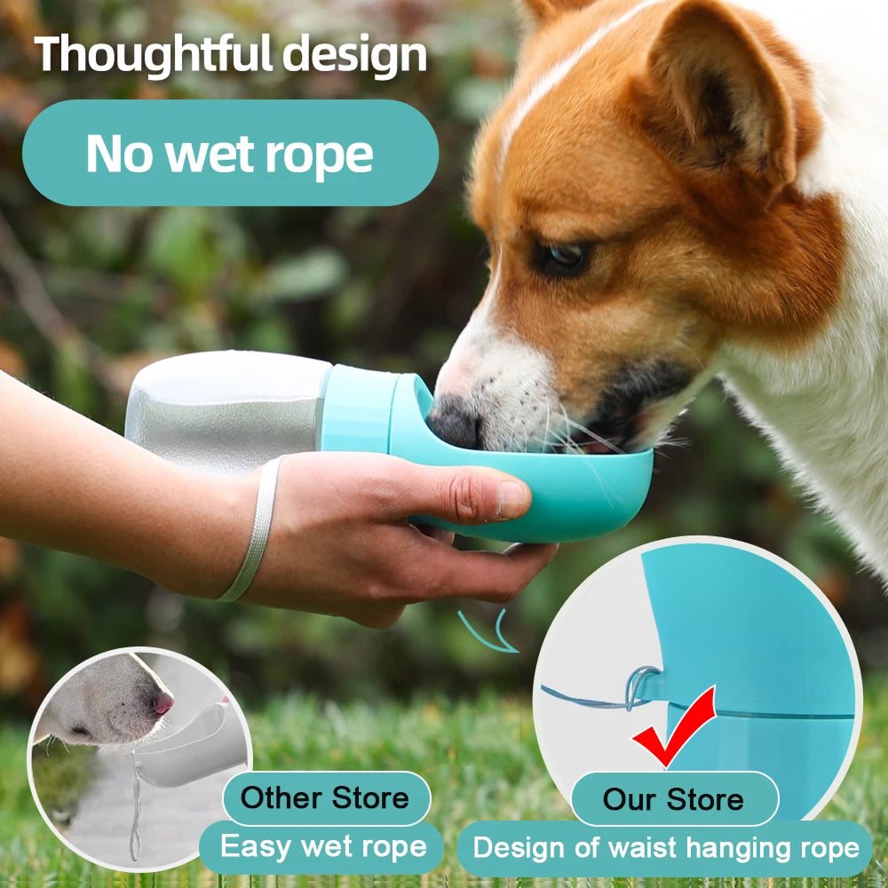 FopetCare v1