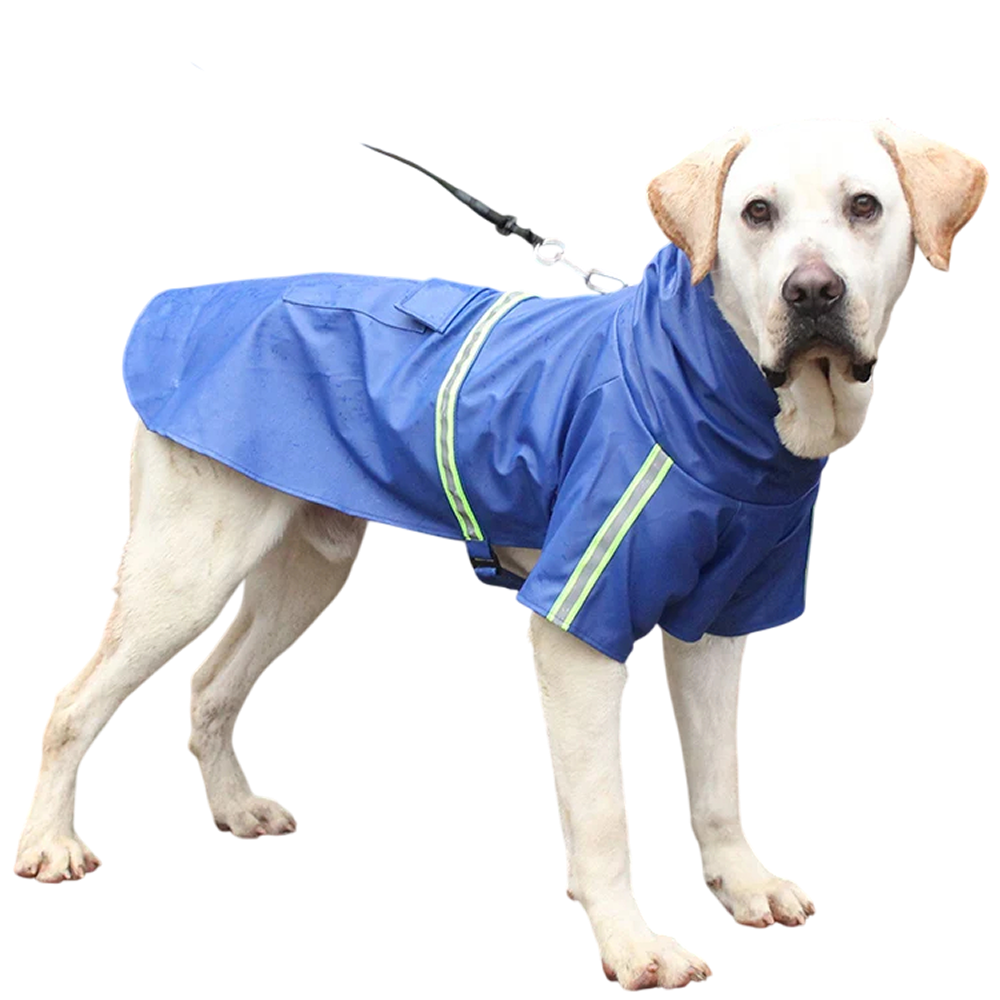PawieVeil