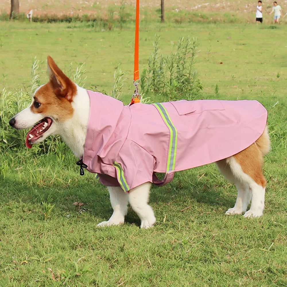 PawieVeil