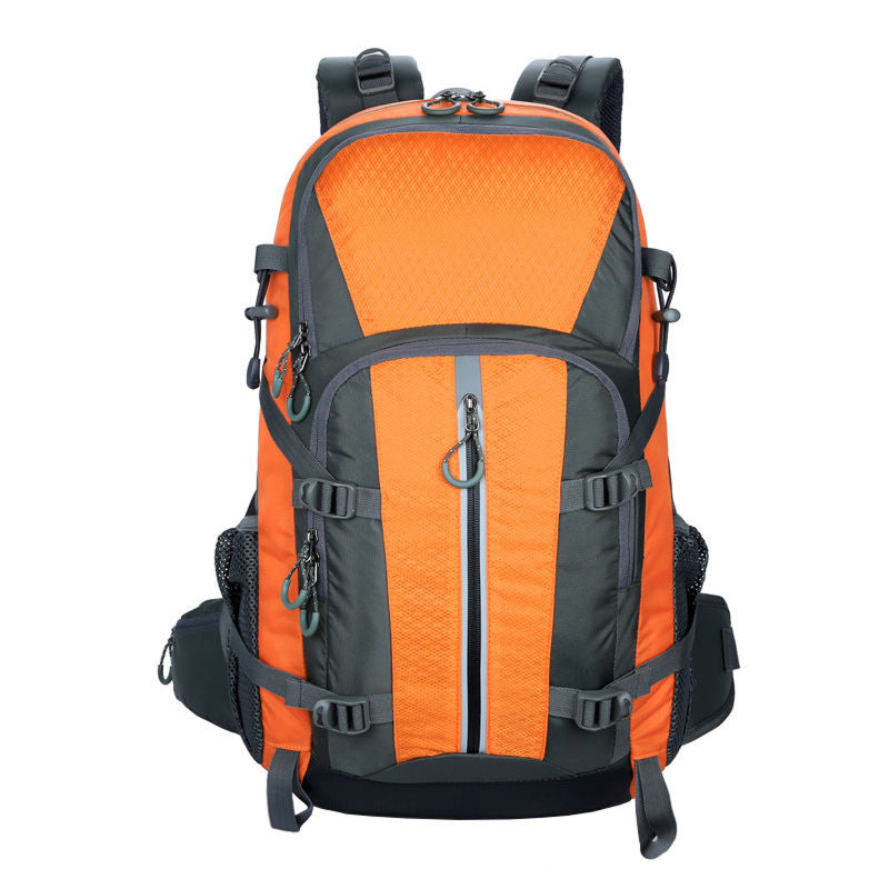PionNomad v1