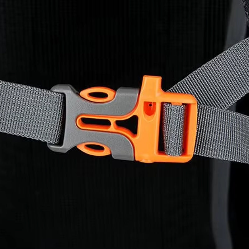 PionNomad v1