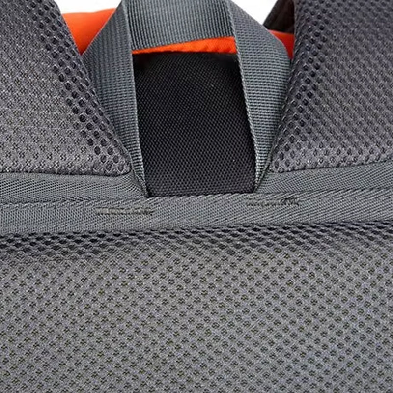PionNomad v1
