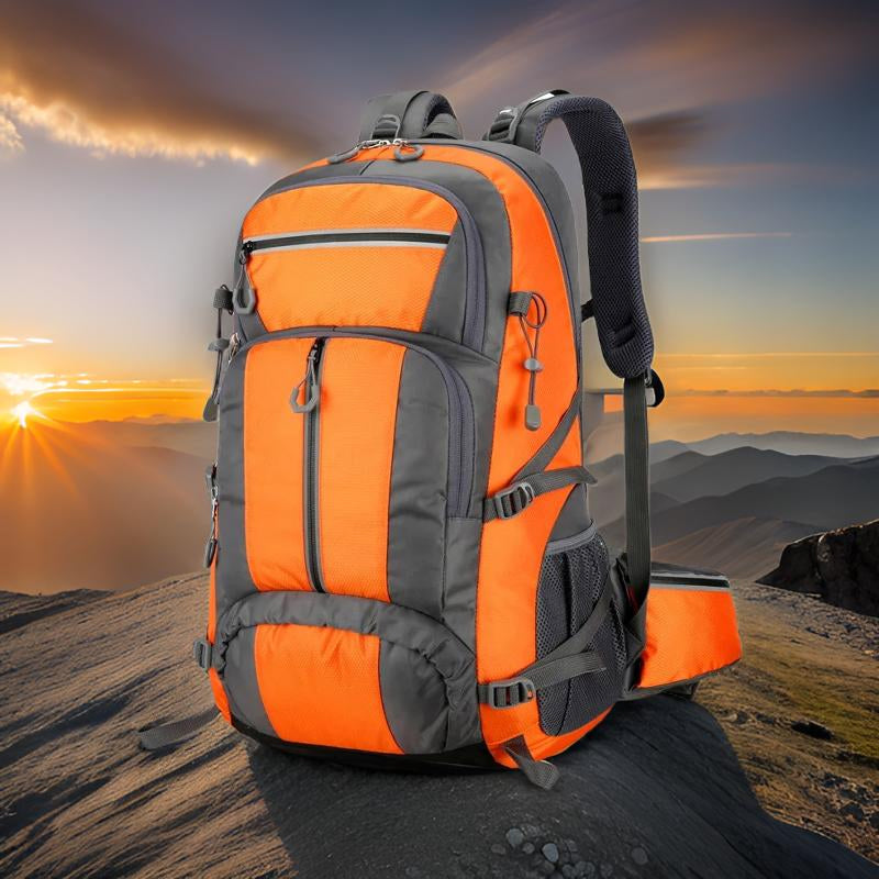 PionNomad v1