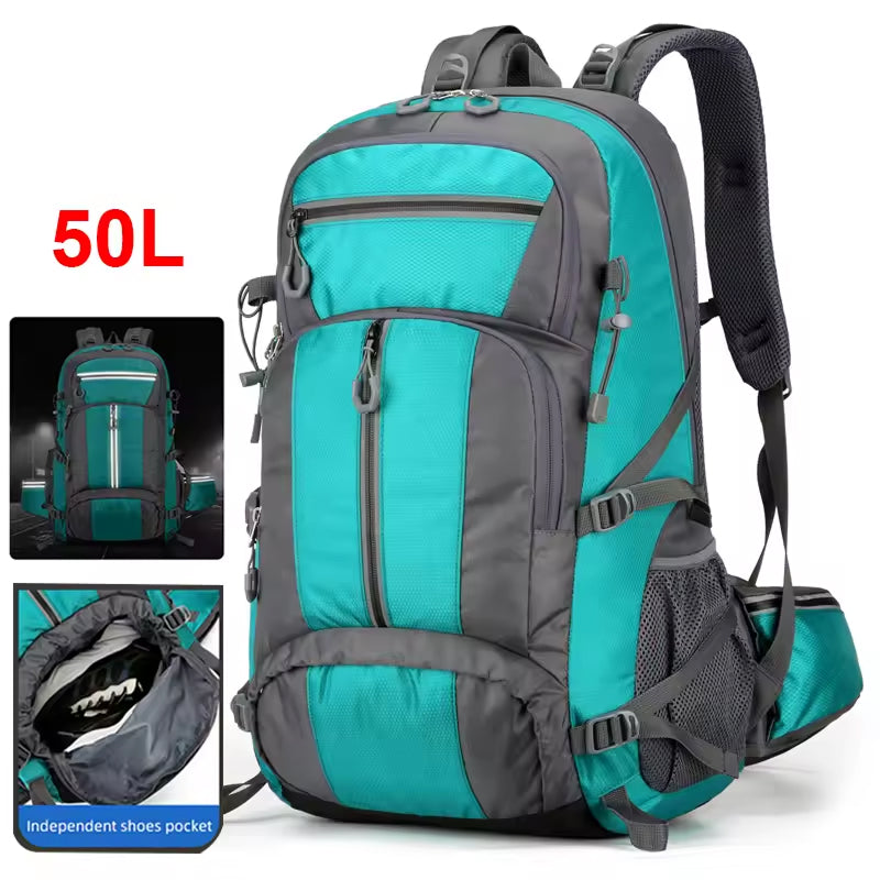 PionNomad v1