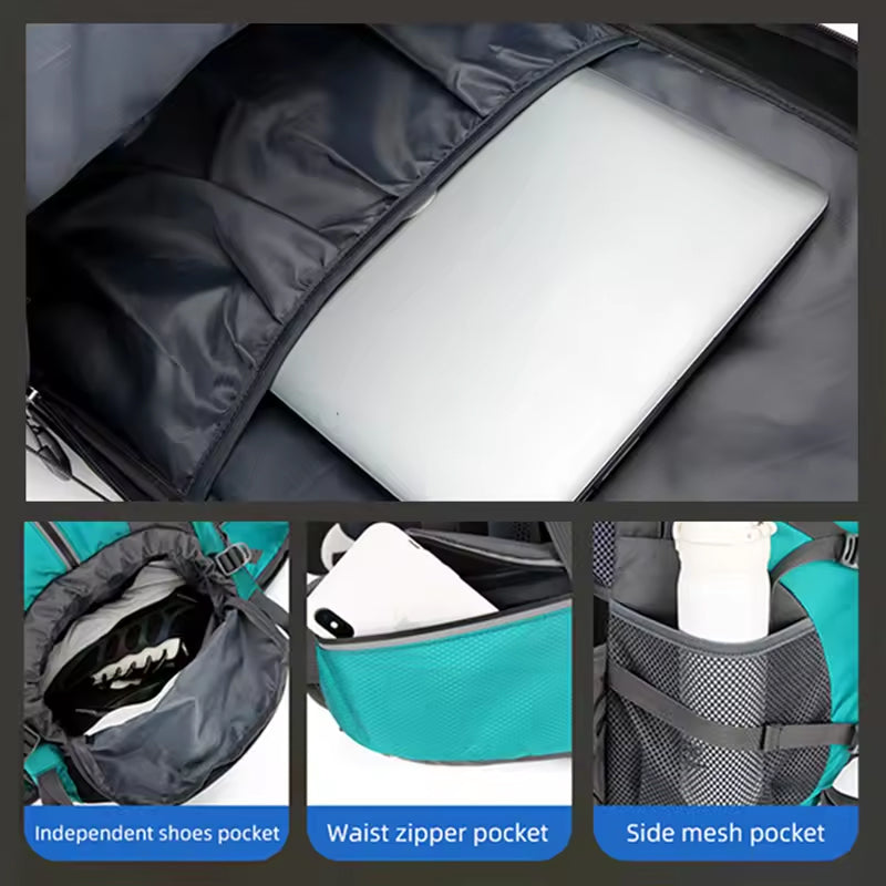 PionNomad v1