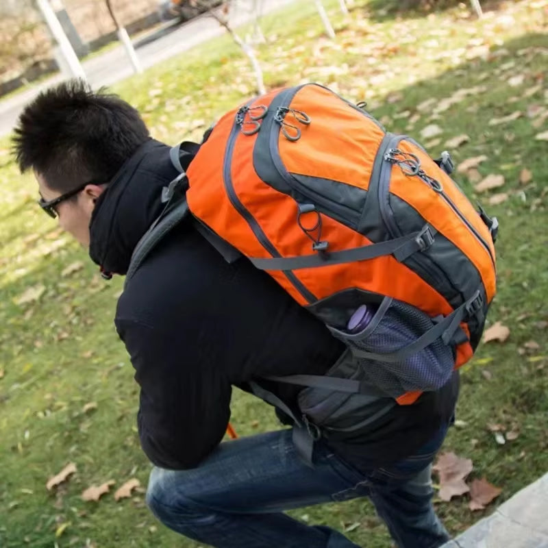 PionNomad v1