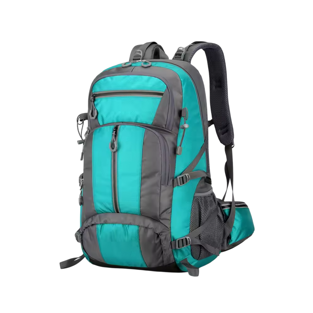 PionNomad v1