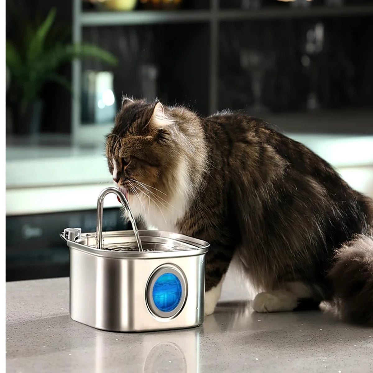 PurriVax
